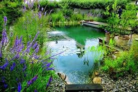 7 Small Inground Pool Ideas to Elevate Your Backyard Oasis
